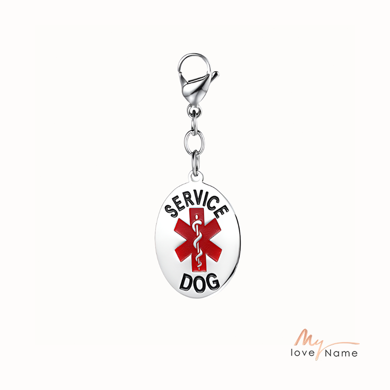Engraved Stainless Steal dog tag