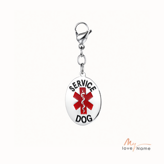 Engraved Stainless Steal dog tag