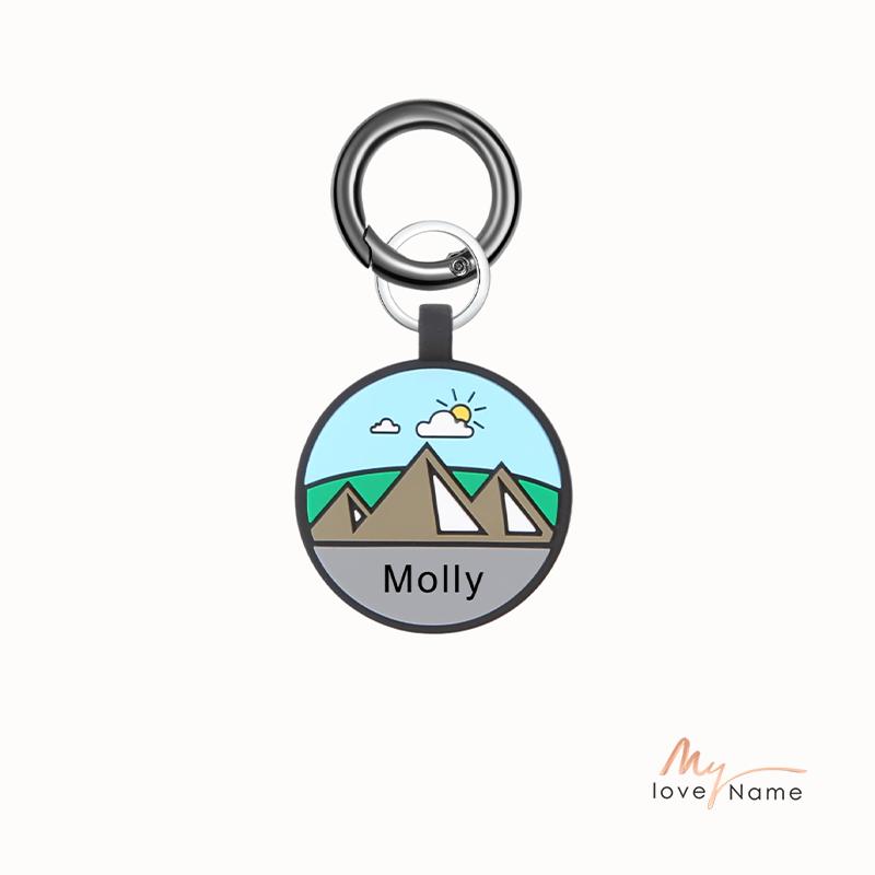 Personalized Silica Gel Dog Tag