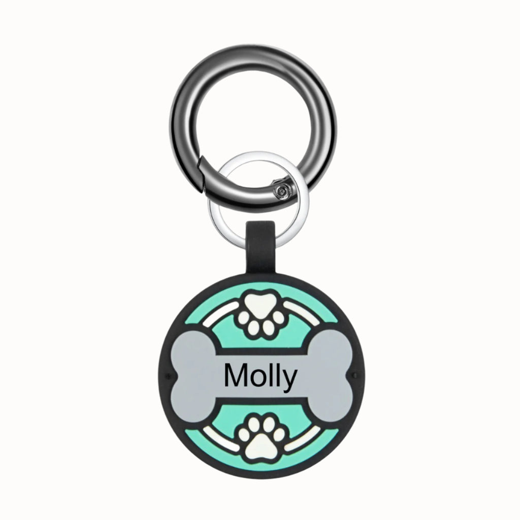 Personalized Silica gel Dog Tag