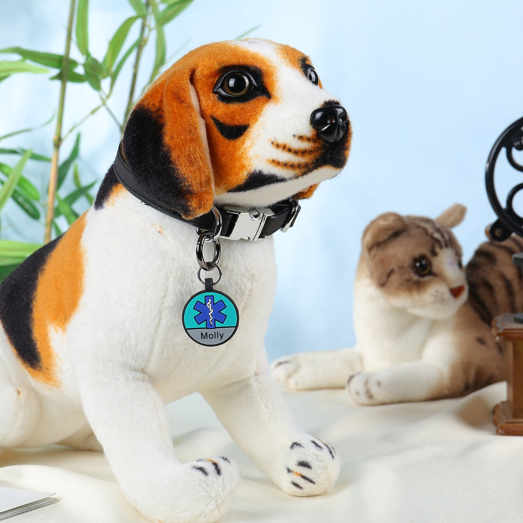 Personalized Silica gel Dog Tag