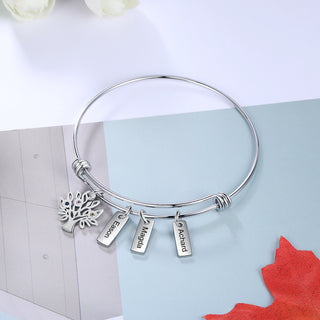 Birthstone & Engraved Stainless Steel Bracket