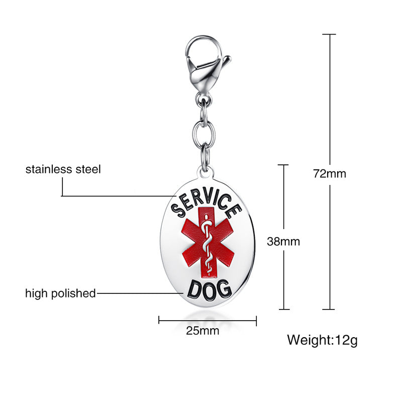 Engraved Stainless Steal dog tag