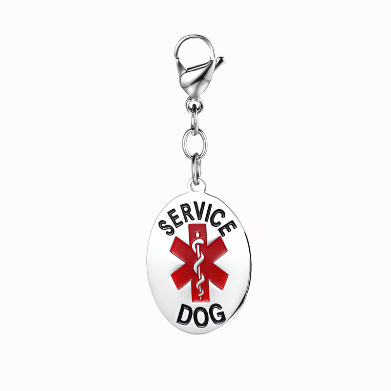 Engraved Stainless Steal dog tag