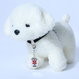 Engraved Stainless Steal dog tag